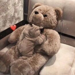 hjkjhghjkg tweet media