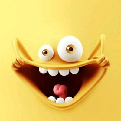 sinem zeybekoğlu tweet media