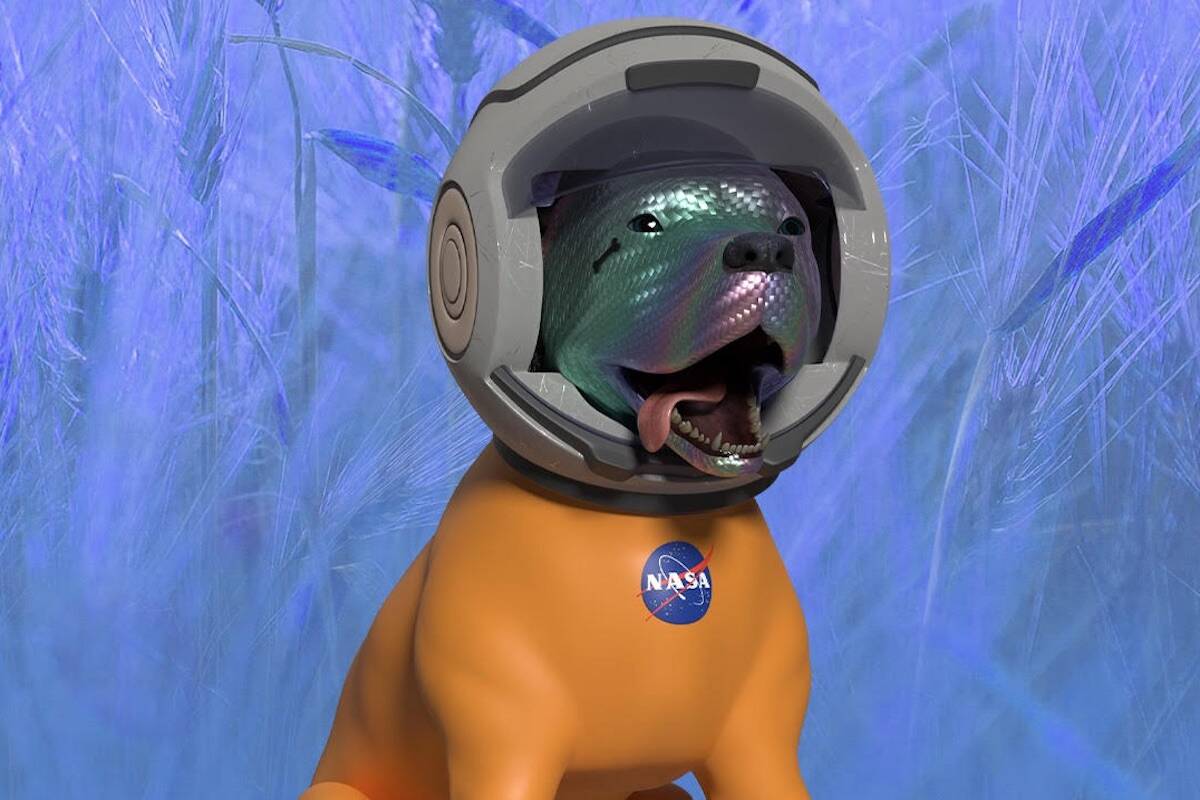 hayata sessiz tweet media