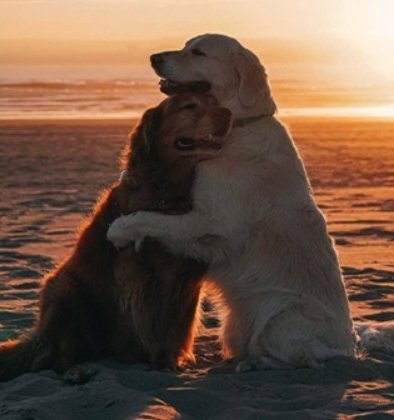 LEⱯH🕊 (@masklesbian) on Twitter photo 