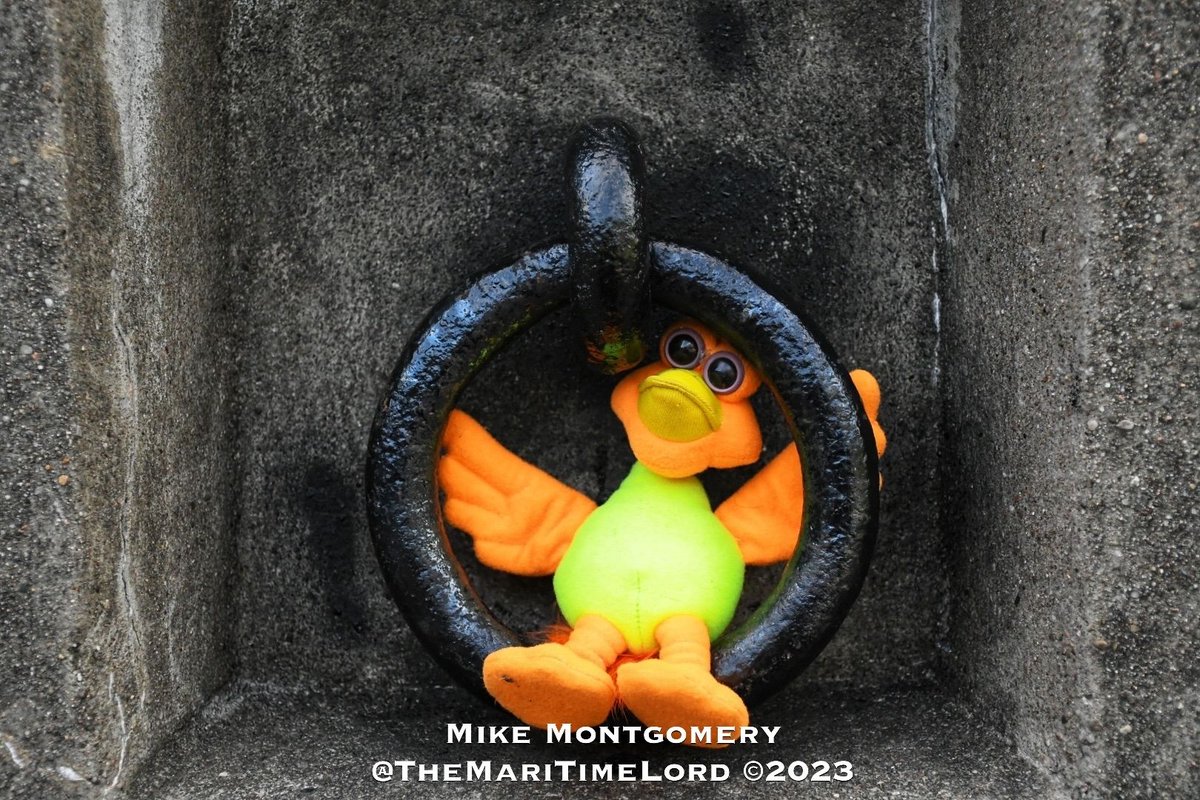 He was so disappointed when he found out it wasn’t actually a swing. #YorkRedoubt #Halifax #Photography #DrCorneliusVonQuackersonthe14th #ToyPhotography