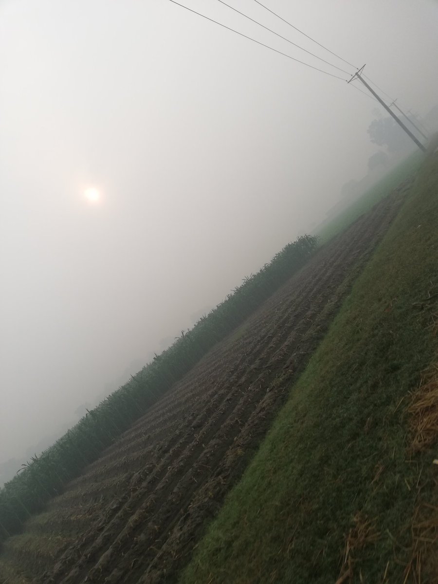 YasirFarid77's tweet photo. روز بروز سموگ میں اضافہ ہو رہا ہے.... ماسک کا استعمال کریں 
@Govt_SCH00L @MintMindPk
#ViratKohli #ViratKohli𓃵
#INDvSA #PAKvsNZ #INDvsENG #Ronaldo 
#PAKvsAFG #BabarAzam
#Abhiya #Abhisha #Elvisha #BiggBossTamil7 #biggbosstelugu7  #NZv https://t.co/lGfsLFxpED