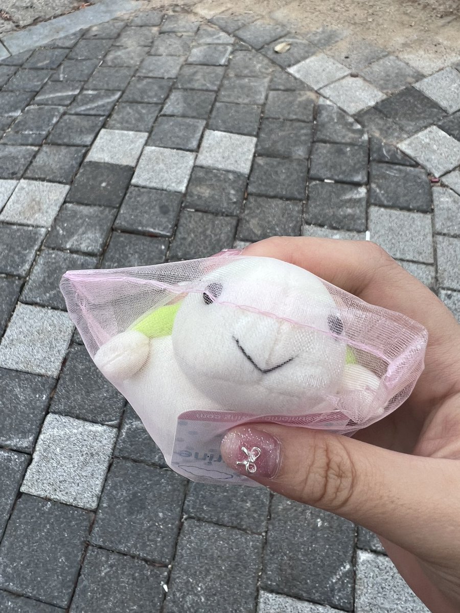 이계정다시들어온이유
거북이.