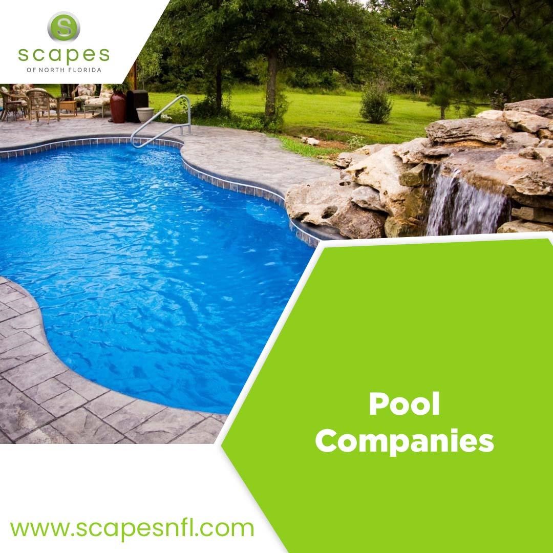 scapenorthfl's tweet image. Beyond pools, we're creators of aquatic dreams. Dive into a realm of innovation and craftsmanship with the best Pool Companies. Immerse yourself in the extraordinary today!
bit.ly/3nfzDe4 
#scapesnfl #poolcompanies #pools