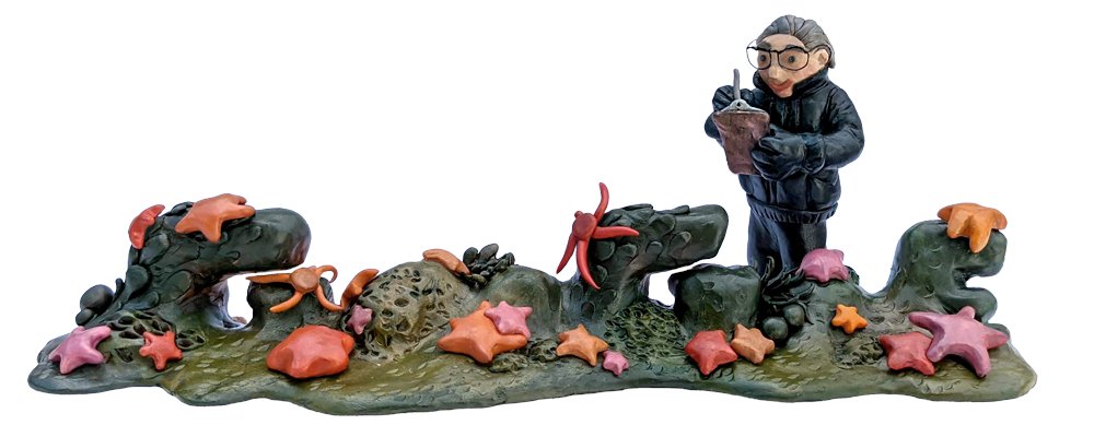 uga_langebio's tweet image. 🟦Hoy celebramos a Irene Bernasconi, pionera en equinodermos de #Argentina, quien estudió durante más de 50 años a las estrellas de #mar y otras criaturas marinas. En 1968, se convirtió en la primera mujer argentina en liderar una #expedición de biología marina en la #Antártida.