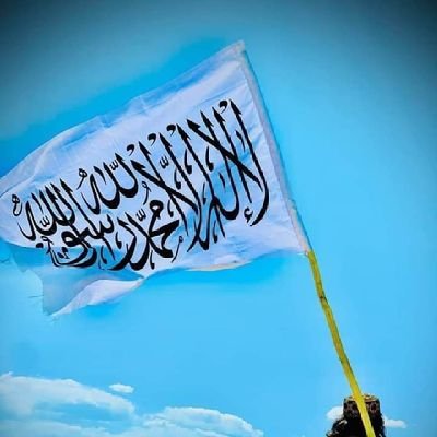 Marina Marić tweet media