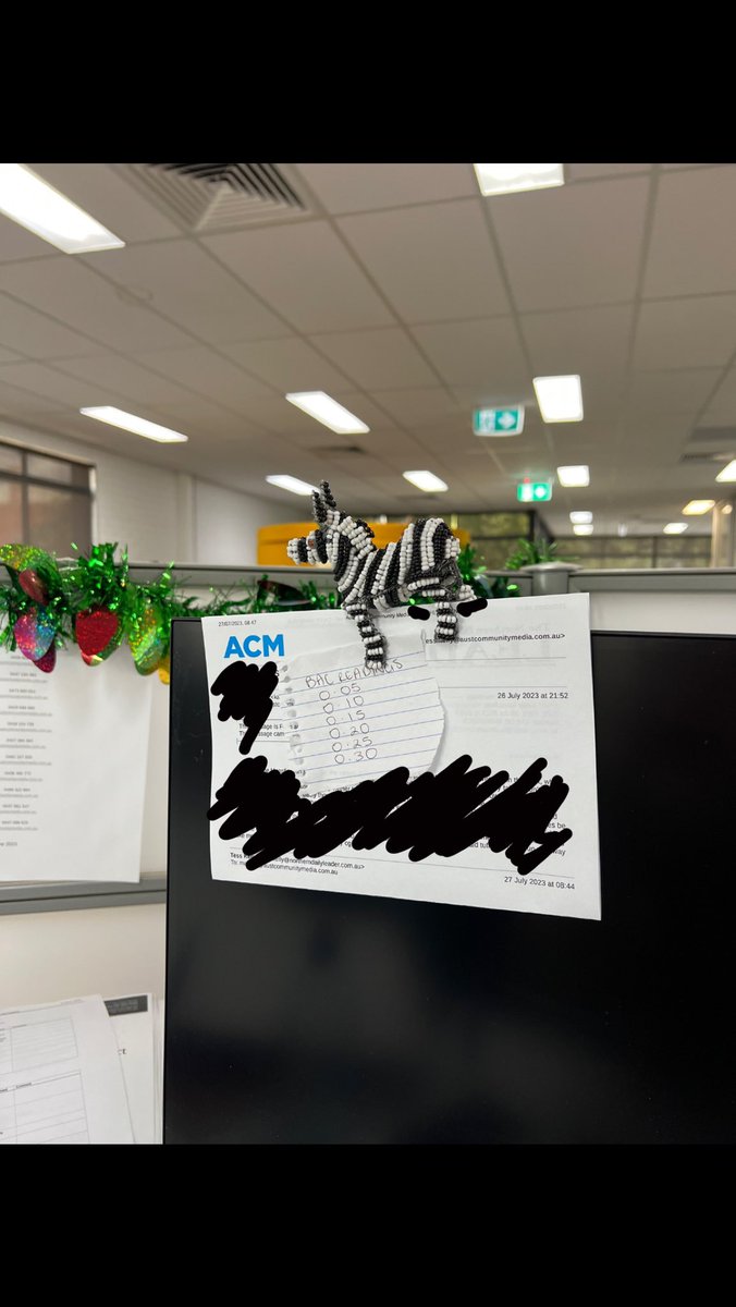 Tess Kelly tweet media