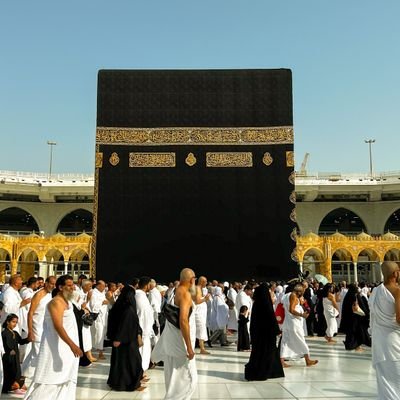 Michael C tweet media