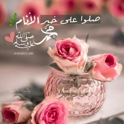 jacinta maciel tweet media