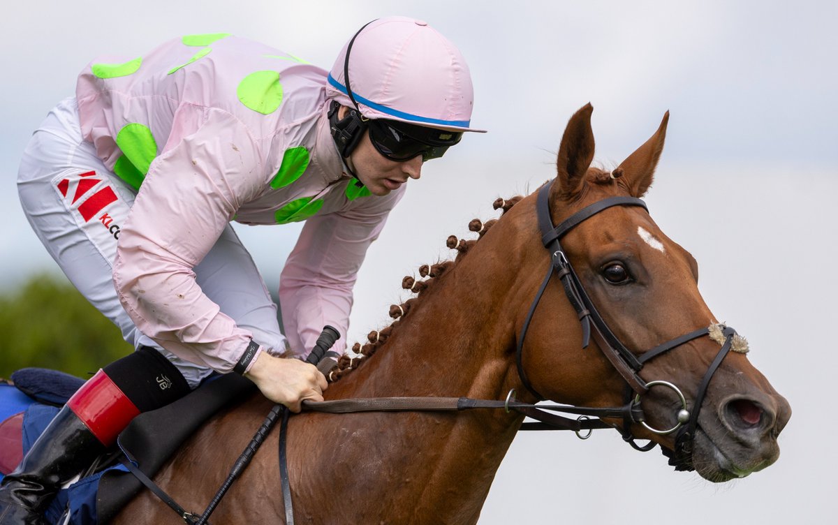 Racing Post tweet media