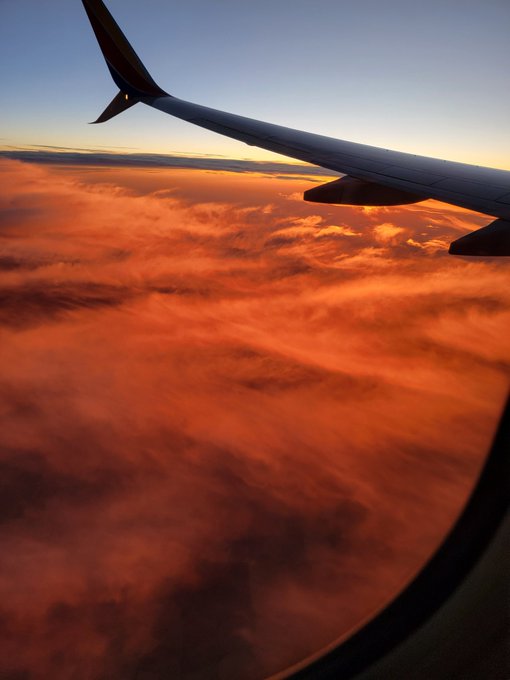 Saturday I flew to Florida. https://t.co/GFgfSCpl9n