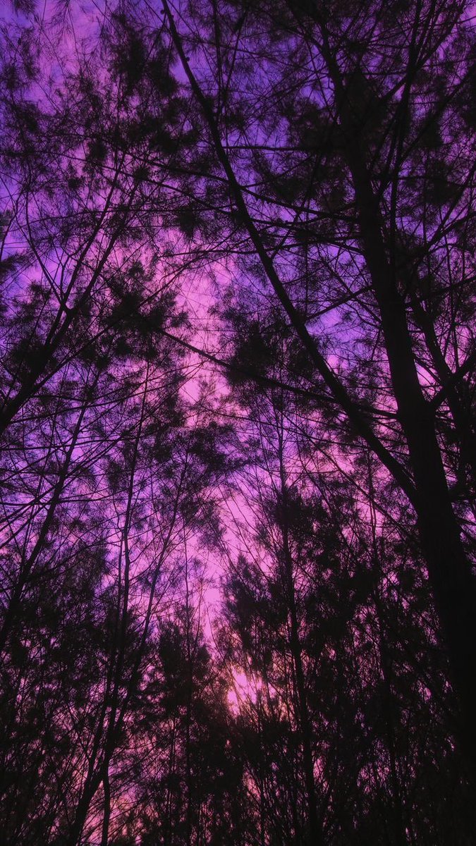 violettweets_'s tweet photo. purplish pink skies. https://t.co/fPf85T6Hpw