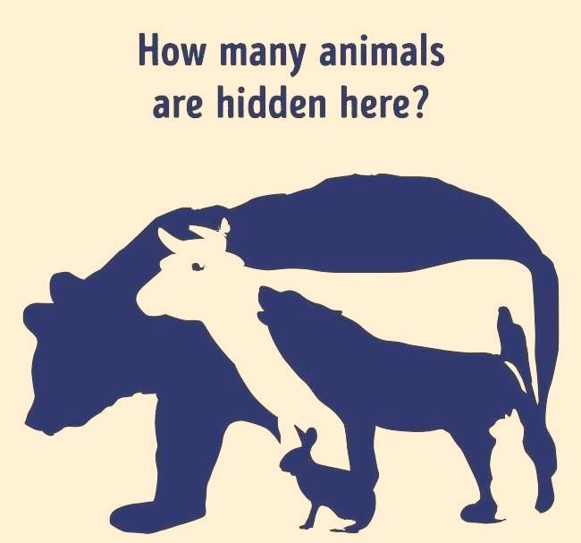 За хэдэн амьтан байгаа вэ? Чаддаг юм бол бүгдийг нь таагаарай