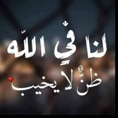 mehmet tereke tweet media