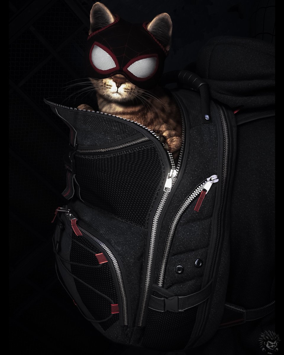 Game: Marvel's Spider-Man 2
Dev: @insomniacgames

#spiderman #marvelspiderman #marvelsspiderman2 #spiderman2 #spiderverse #spidey #marvel #marvelverse #marvelcomics #spidercat #InsomGamesCommunity