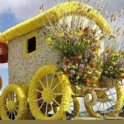 victor omar lombardo tweet media