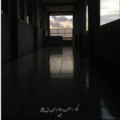 SİBEL EKİCİ tweet media