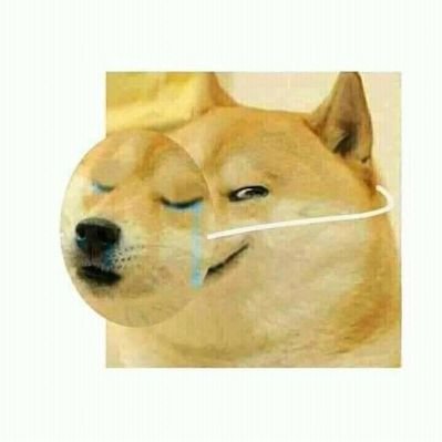 PEDROHERNANDEZ tweet media