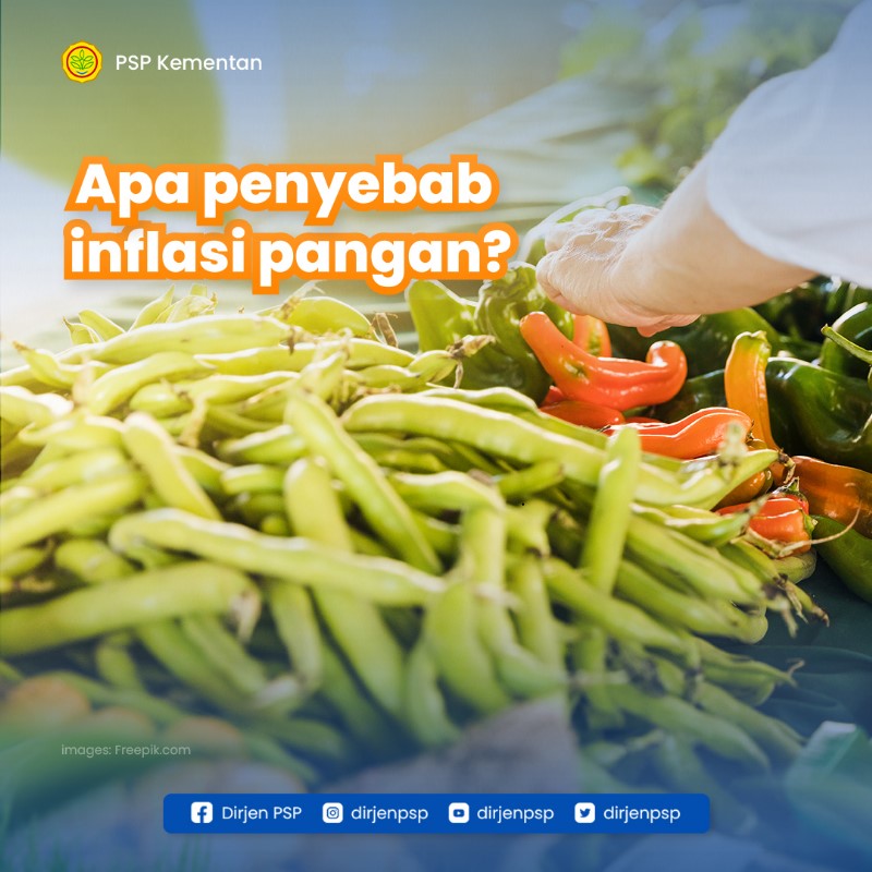 dirjenpsp's tweet photo. Sehingga untuk mengendalikan inflasi pangan di Indonesia, diperlukan sinergi antara pemerintah pusat dan pemerintah daerah, agar produksi pangan tetap terjaga, stok pangan memadai, hingga mekanisme intervensi pasar efektif.
#kementerianpertanian #programkementan #ditjenpsp https://t.co/AdiQXkR6HH