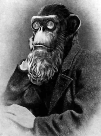 #ThorpeDaily Day 6/365            

What is real? One key question that we all must contemplate at least once in our lives 😵‍💫🖤 

Thus spoke Thorpe Brown, from <a href="/the_ape_society/">The Ape Society</a>

#CNFT #NFT