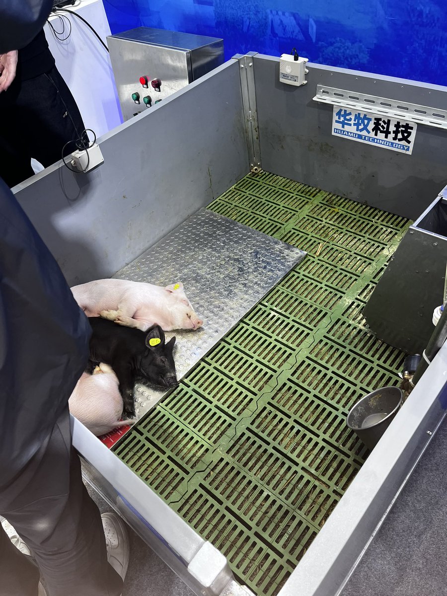 VDingLin's tweet image. 万万没想到，互联网大会如此接地气