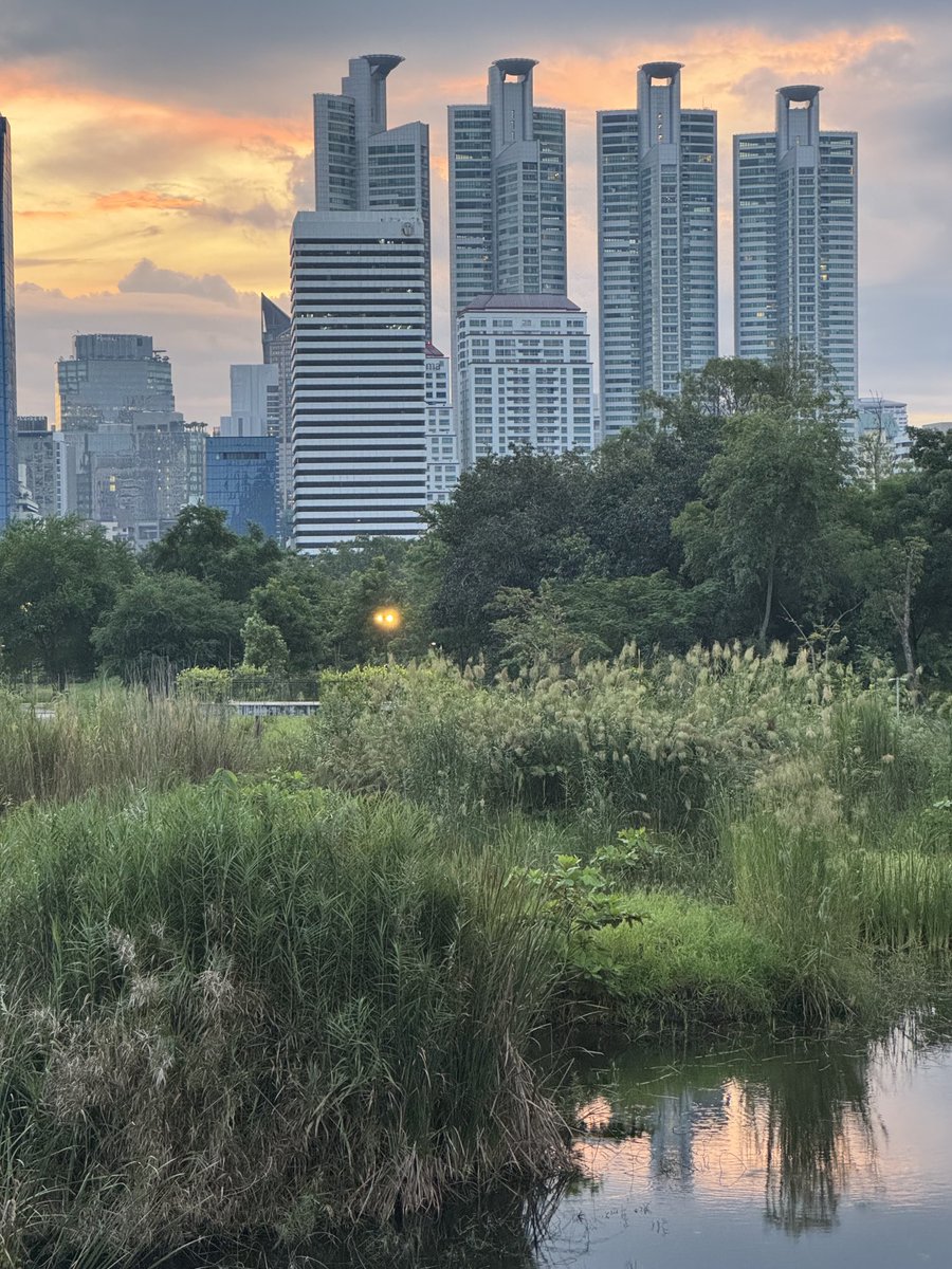 Had a very enjoyable sunrise jog on the raised pathways &amp; around the wetlands of #Benjakitti Park in #BKK - the park represents a great example of urban transformation from #tobacco company to urban oasis for wildlife &amp; health #thailand ⁦<a href="/MartenRobert/">Robert Marten</a>⁩ ⁦<a href="/SandroDemaio/">Dr Sandro Demaio</a>⁩