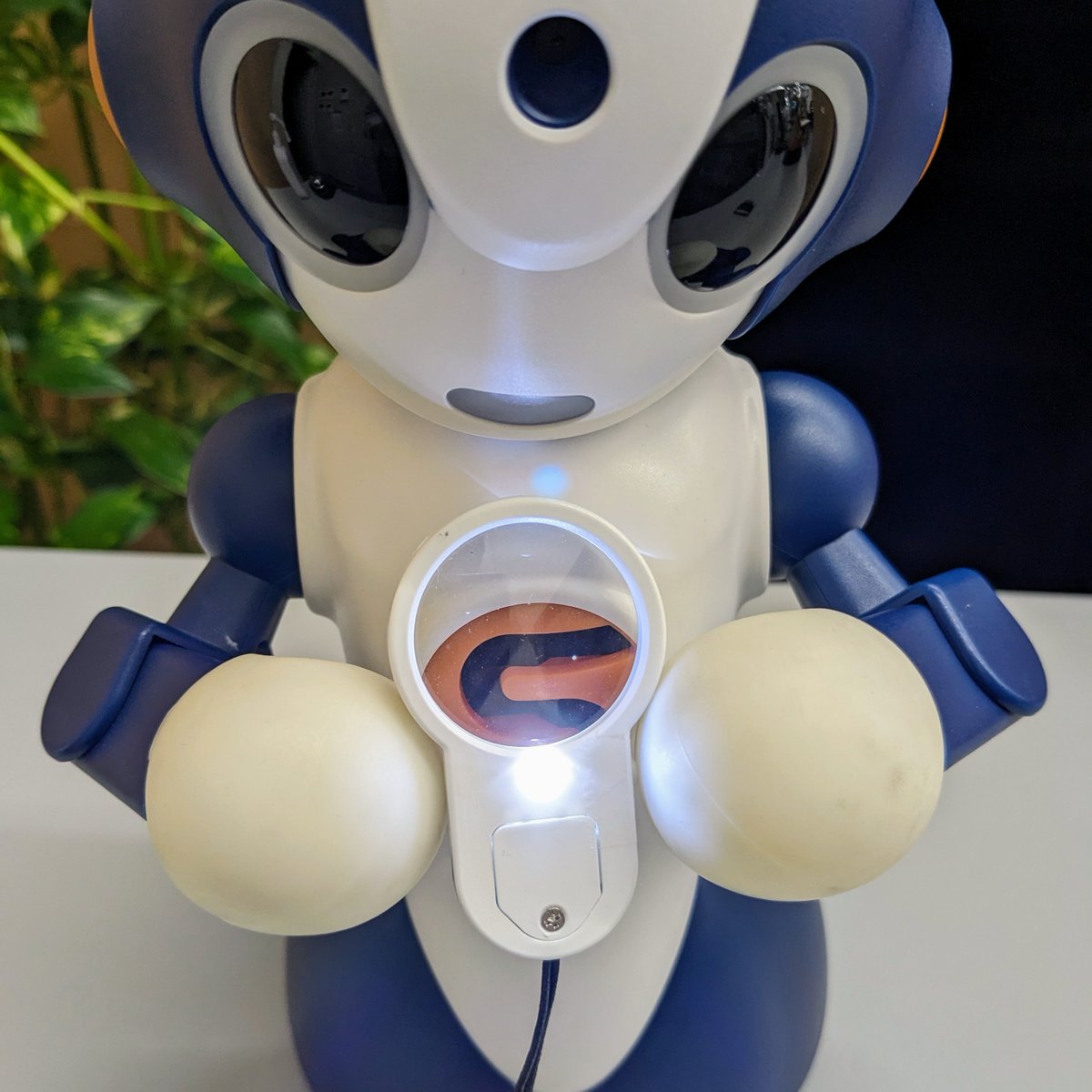 robot_shop's tweet image. 役立つルーペ、シリーズ化？！

最近こんなLEDライト付きルーペを見つけたんです。
照度が足りなくて微妙に見えづらい！ってこと、あるあるですよね？
これが100均というのだから素晴らしい。

#Sota #ROBOTSHOP #電子工作 #ルーペ #LED #照度 #助かるぅ