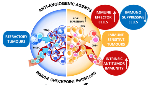@SN_Oncology (@sn_oncology) on Twitter photo Explore a new special issue in <a href="/BrJCancer/">British Journal of Cancer</a> on 'Advances in #ImmuneCheckpointInhibitors use in cancer treatment': nature.com/collections/bg…
Read the Editorial article for the collection by Guest Editors Prof Joseph Ciccolini & Dr Gerard Milano: nature.com/articles/s4141… Explore a new special issue in <a href="/BrJCancer/">British Journal of Cancer</a> on 'Advances in #ImmuneCheckpointInhibitors use in cancer treatment': nature.com/collections/bg…
Read the Editorial article for the collection by Guest Editors Prof Joseph Ciccolini & Dr Gerard Milano: nature.com/articles/s4141…