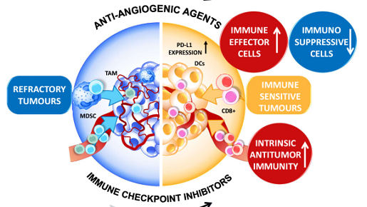 Explore a new special issue in @BrJCancer on 'Advances in #ImmuneCheckpointInhibitors use in cancer treatment': nature.com/collections/bg… Read the Editorial article for the collection by Guest Editors Prof Joseph Ciccolini & Dr Gerard Milano: nature.com/articles/s4141…