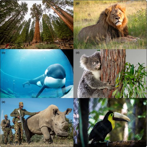 mdde (@mddebgu) on Twitter photo "#Flagship individuals in #biodiversity #conservation"
By <a href="/IvanJaric/">Ivan Jaric | from now on at @ivanjaric.bsky.social</a> <a href="/Roll_Uri/">Uri Roll</a> (<a href="/mddeBGU/">mdde</a>) and colleagues
esajournals.onlinelibrary.wiley.com/doi/10.1002/feâĻ "#Flagship individuals in #biodiversity #conservation"
By <a href="/IvanJaric/">Ivan Jaric | from now on at @ivanjaric.bsky.social</a> <a href="/Roll_Uri/">Uri Roll</a> (<a href="/mddeBGU/">mdde</a>) and colleagues
esajournals.onlinelibrary.wiley.com/doi/10.1002/feâĻ