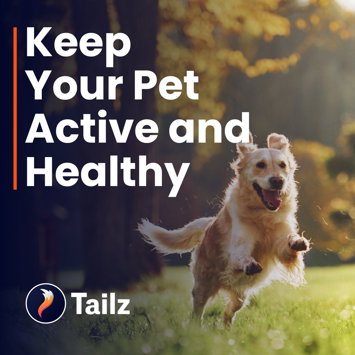 tailz_xyz's tweet photo. πΎ Your pet's health is a priority! Regular exercise keeps them happy and healthy. Share your pet's favorite activity and inspire others. πββοΈπ #Tailz #PetCare https://t.co/XdlsRYQVv6