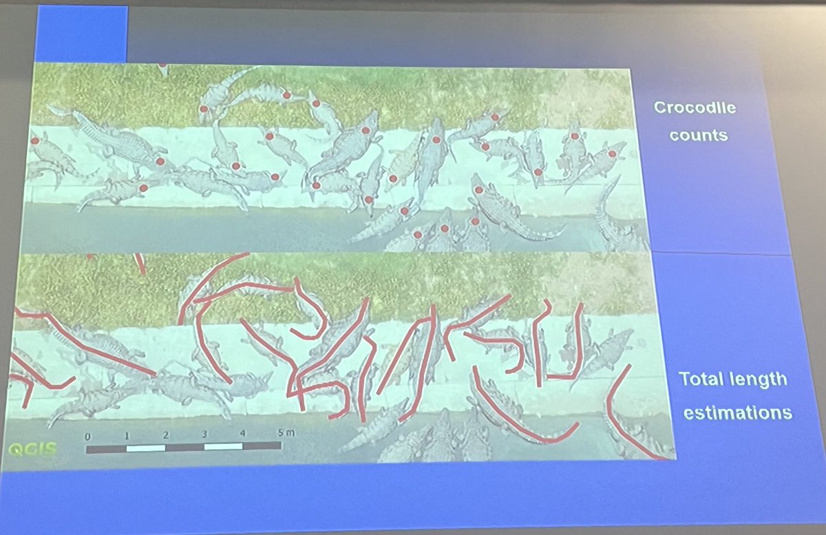 os_iyas's tweet photo. It’s so exciting to learn about behaviour & welfare of Nile crocodile to environmental temperature using drones. Interesting talk by Jan Myburgh at the ISAE Souh African workshop #ISAESA @appliedethology @isaeawa @pfunzo_muvhali @UPTuks https://t.co/etBjxEIt66