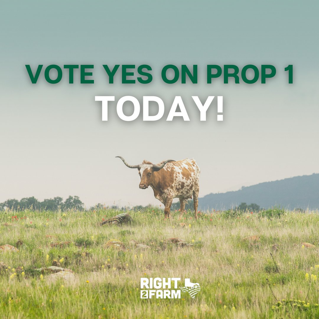 Today’s the day to show up for our farmers and ranchers! Whether you live in rural or urban Texas, this issue concerns you!

With Prop 1, we can protect our agriculture industry for decades to come. Vote YES for Prop 1. 🗳️
 Find your polling place:: votetexas.gov/voting/where.h…