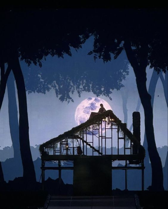 lincey!! 🇵🇸❤️🔥 tweet media