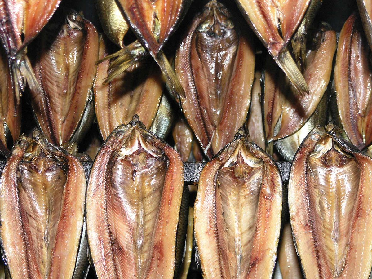 ScotsPelagic's tweet image. The comeback kipper! Great article in The Guardian on the resurgence in popularity of delicious tasting MSC certified North Sea herring 

tinyurl.com/355tjae2

#kipper #herring