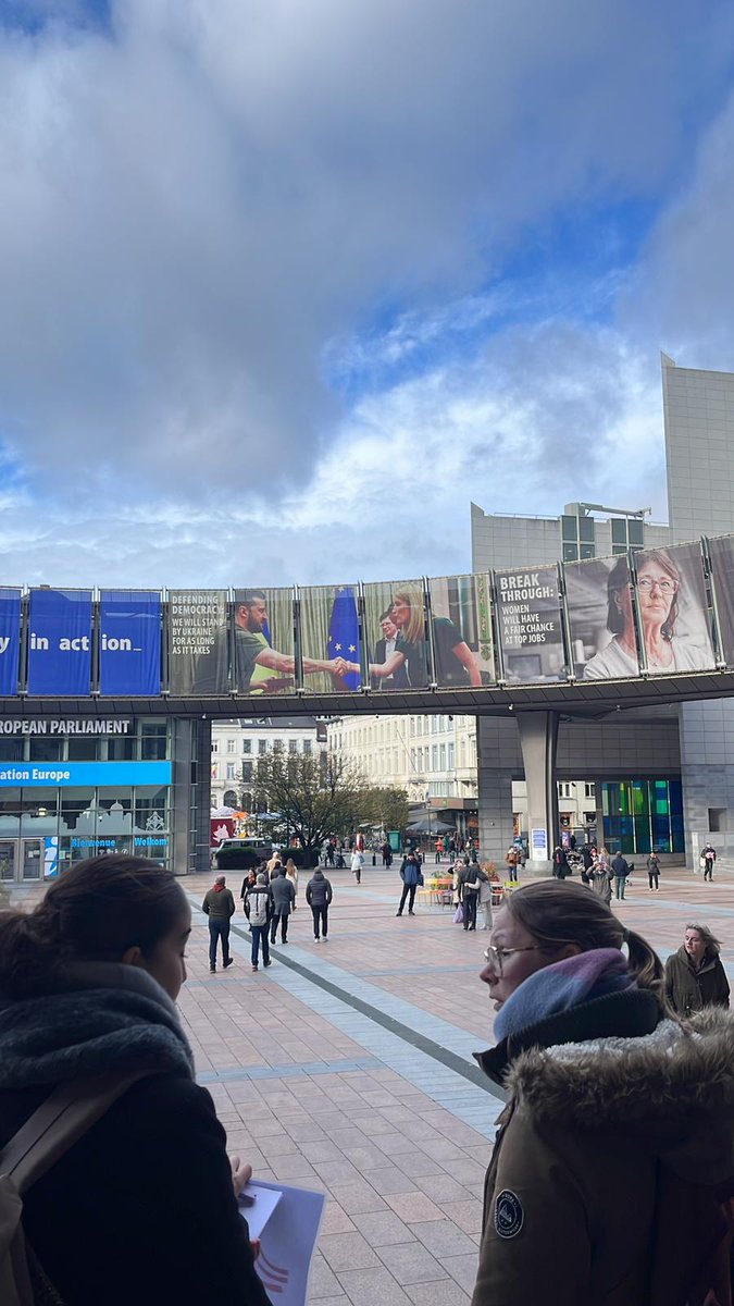 Riseup-PPD tweet media