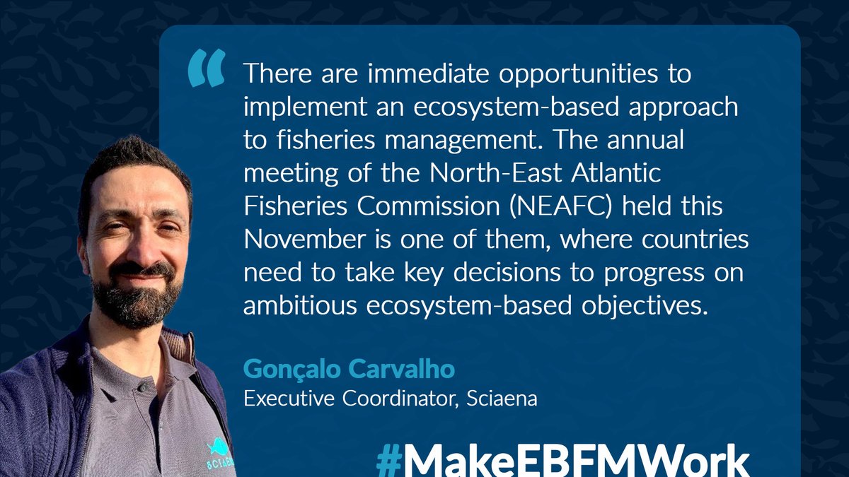 DanJSteadman's tweet image. Next up, we hear from Gonçalo (@GFC_Ocean ) who leads the Portuguese @Sciaena_NGO team in campaigning for healthy marine ecosystems. 

Below, he explains why next week’s #NEAFC negotiations are critical for improving environmental health. 

(3/6)