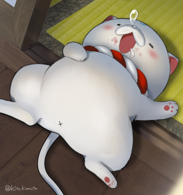 no humans cat sleeping lying on back nose bubble tatami  illustration images