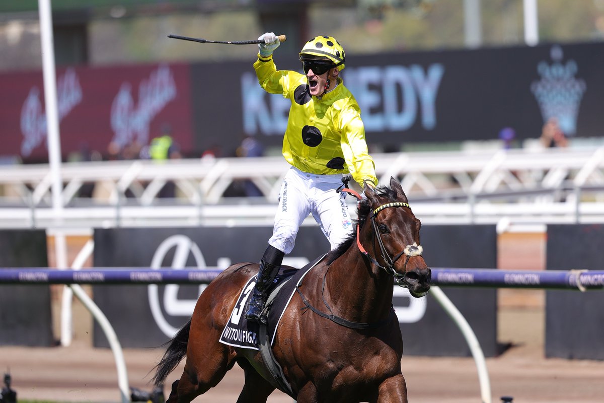 oga_46metal's tweet photo. #MelbourneCup
The winner
horse : #WithoutAFight
Jockey : #markzahra
Trainer : @FreedmanRacing 
Groom : Leanne Fielding
Conflagration！ https://t.co/B1pUJaneKT