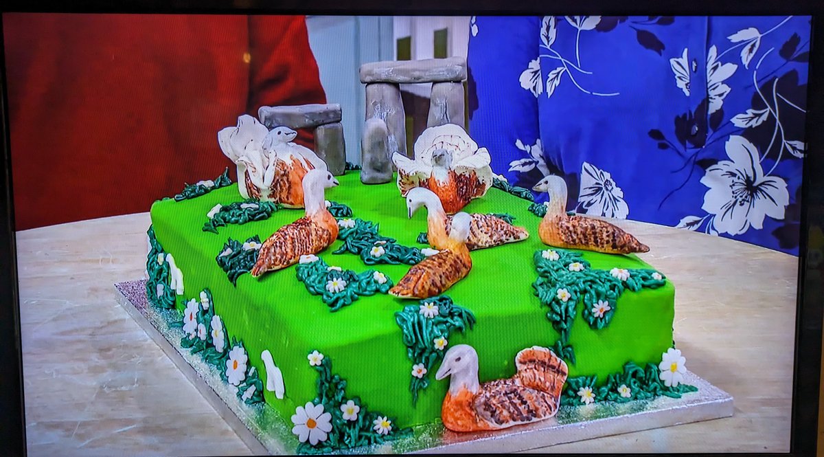 Great Bustard Bake Off... A big congratulations to our volunteers Adrian and Caro, whose magnificent Bustard cake won the Star Baker award on GBBO Extra Slice. Watch the latest episode (Series 14, episode 6), around the 20 minute point. 'Goddamn ornithologists...'