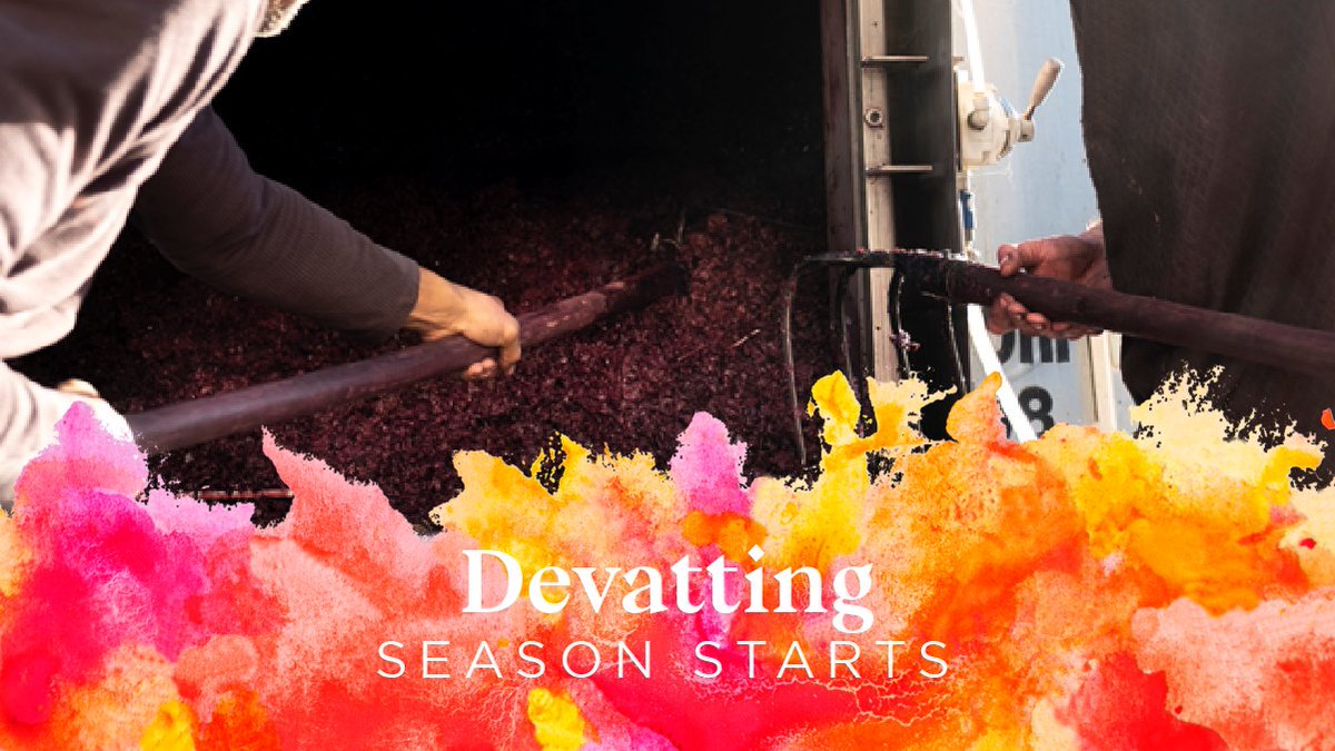 Devatting is the process by which the wine is transferred to another tank at the end of fermentation to separate it from its skins and pass the pomace to the press to be pressed.

📸 Rolf Bichsel
#EuropeanQualityWines #EnjoyitsfromEurope #GarnachaWine #GrenacheWine