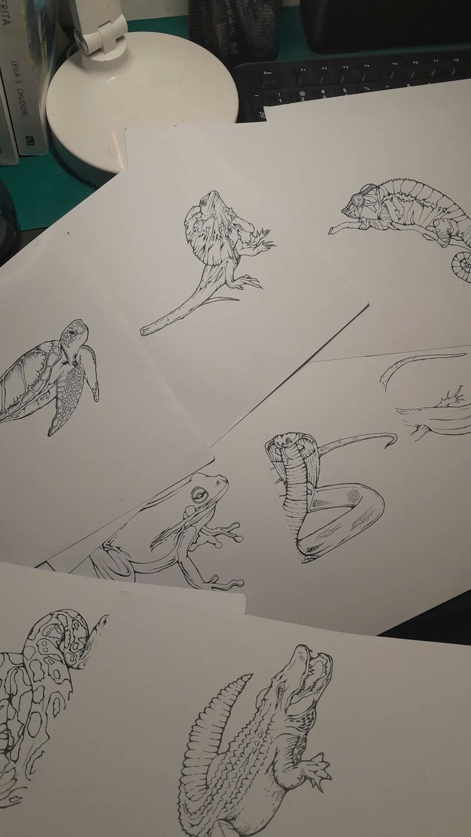 it's all about reptiles 🌟