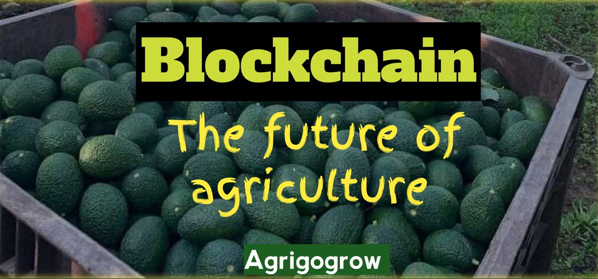 MikeAgrow's tweet photo. Enhancing Food Safety with Blockchain ππ΄ Track your food's journey from farm to fork, combating fraud and ensuring safety. Imagine knowing exactly where your beef came from! π₯©π #BlockchainForFood #FoodTraceability #BlockchainInAgriculture #FarmingTech https://t.co/0VyGc8Ds9J