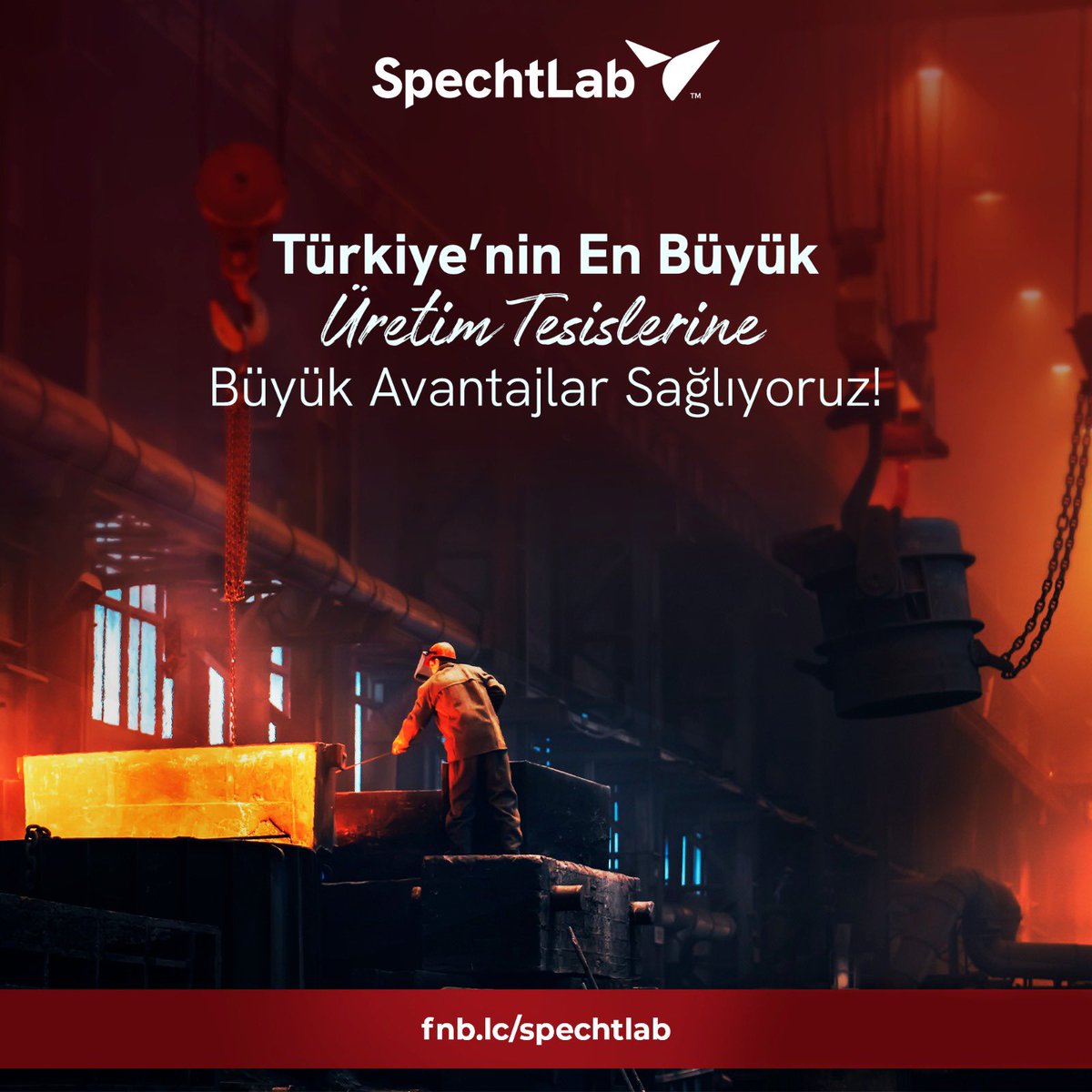 SpechtLab tweet media