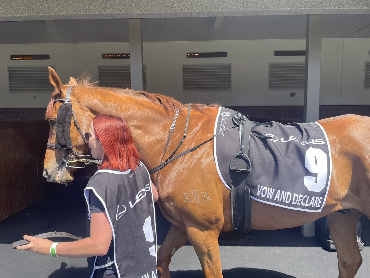 DOBrienRacing's tweet photo. You did us proud again Vow! What a marvel another Top 10 finish in the race that stops a nation. Love this horse. So honest, so brave, so him. Shout out to @TheBeeegan for a tremendous ride from barrier 19 #vowanddeclare #dannyobrienracing #ninth #fourtimer #legend @FlemingtonVRC https://t.co/FIXGEzPfdP