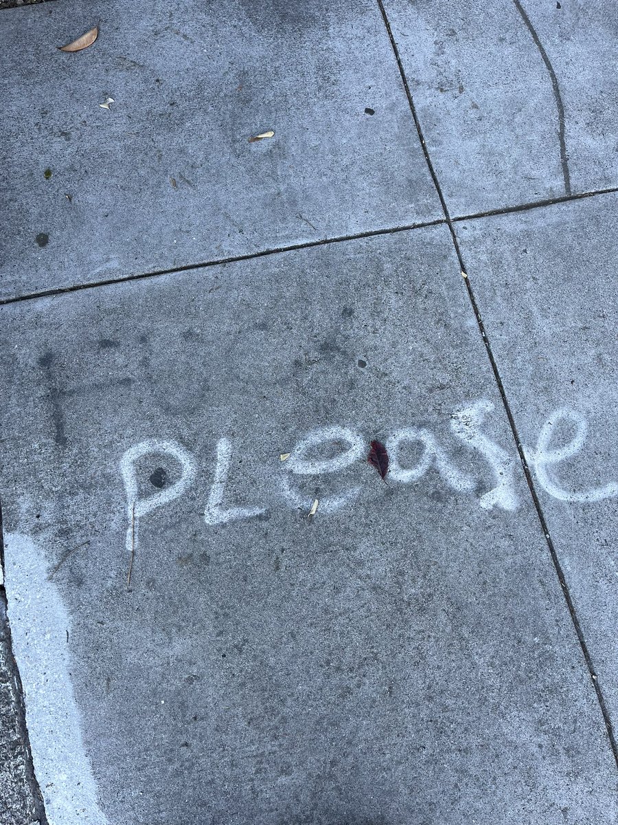 ratfondue's tweet image. nothing to add to the things that brought me joy thread this week lads everything is an unmitigated disaster and the stinky litter box feet of the cat of life just keep stepping directly on my face and eyeballs