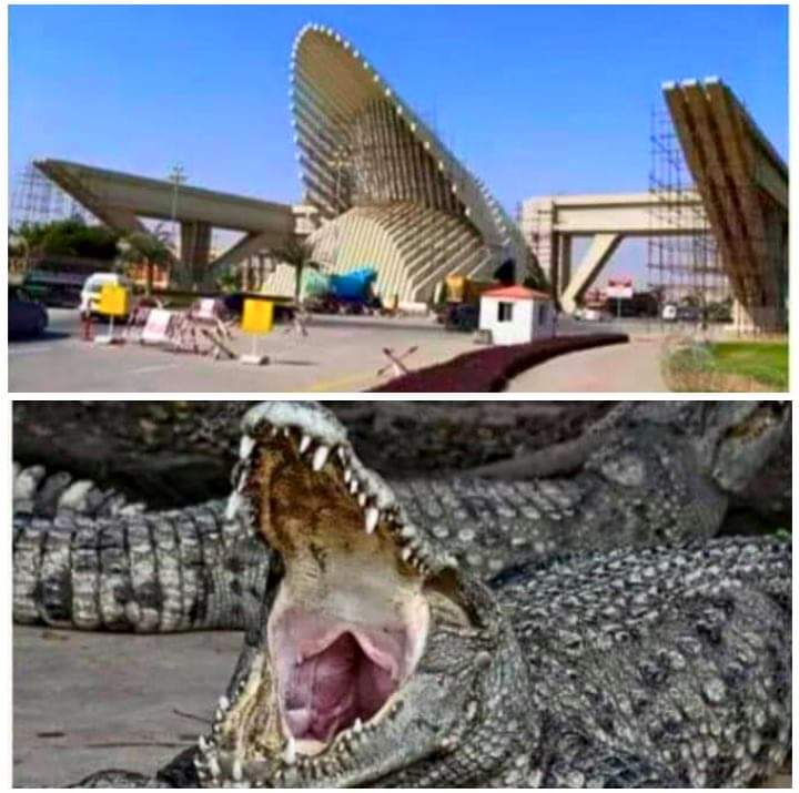 BalochHafeez201's tweet photo. Bahria Town Karachi is just a name for destruction in every way, ecology, indigenous history and civilization, wildlife of Kirthar National Park and its buffer zone, above all the destruction of environment ecology connected with Karachi which unfortunately goes unnoticed..
1/4 https://t.co/GiaaPOWbb2