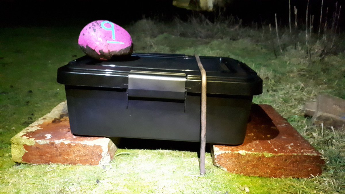 Iris Mair tweet media