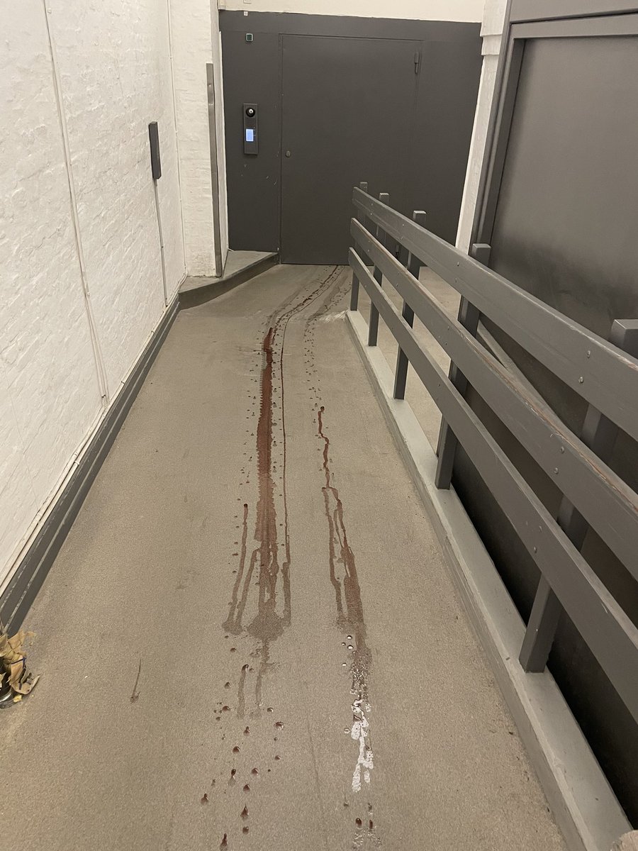 Dramatisk velkomst til Borgen her til morgen 🏰🩸🍷👀