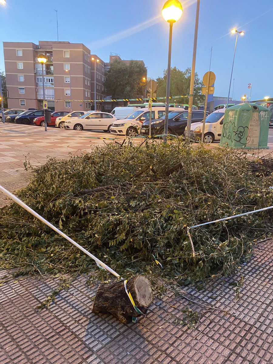 ReichPp's tweet photo. @AytoLeganes después de la tala  de árboles desde hace 5 días así siguen las calles… Talar y recoger, no? https://t.co/VGAtaAvjsX